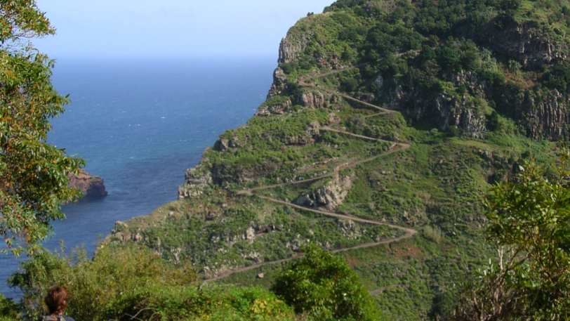 Marvels of Madeira Walk — view 10