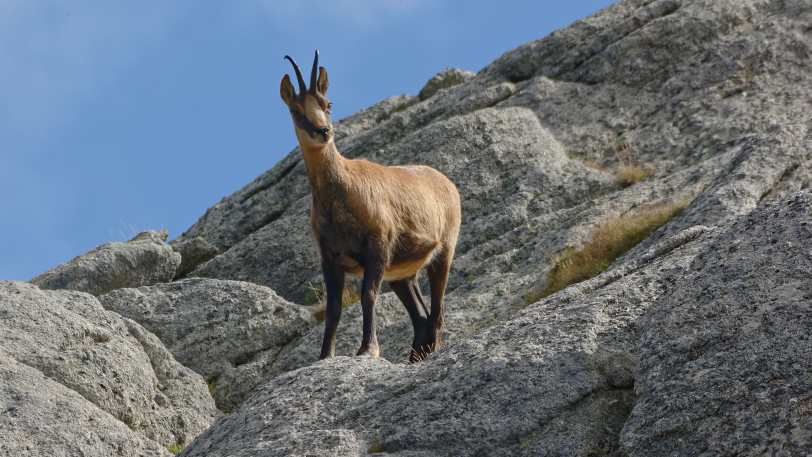 Walk across Andorra — view 4