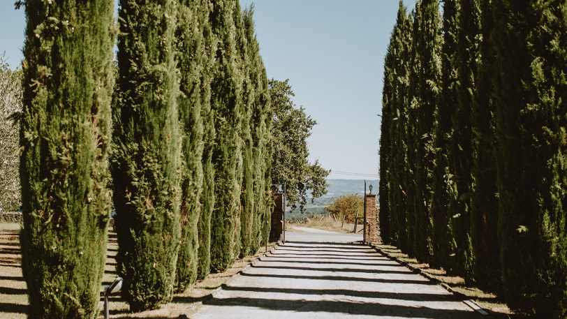 Cycling the hills of San Gimignano by E-bike — view 9