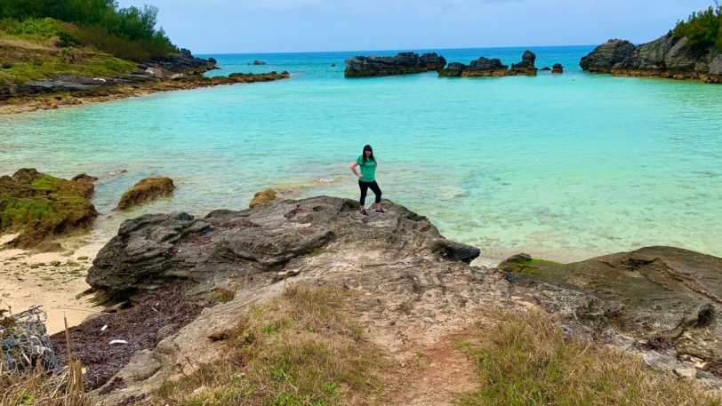 Islands of Bermuda Walk — view 5
