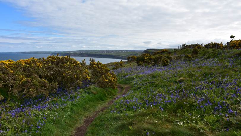 Walking from Coast to Coast — view 2