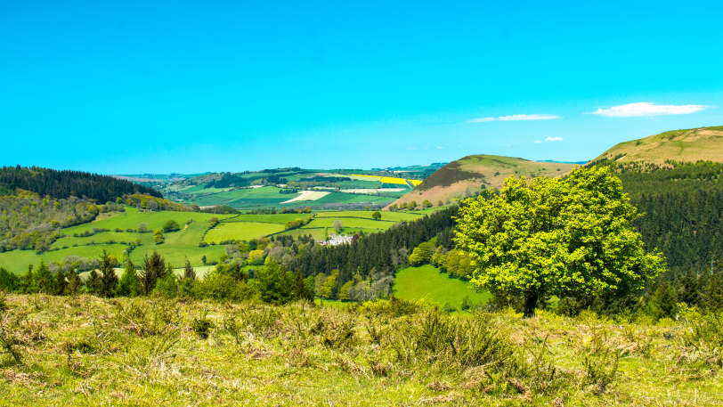 Walking Offa’s Dyke Path (North to South) — view 3