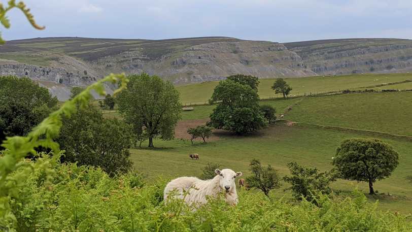 Walking Offa’s Dyke Path (North to South) — view 1