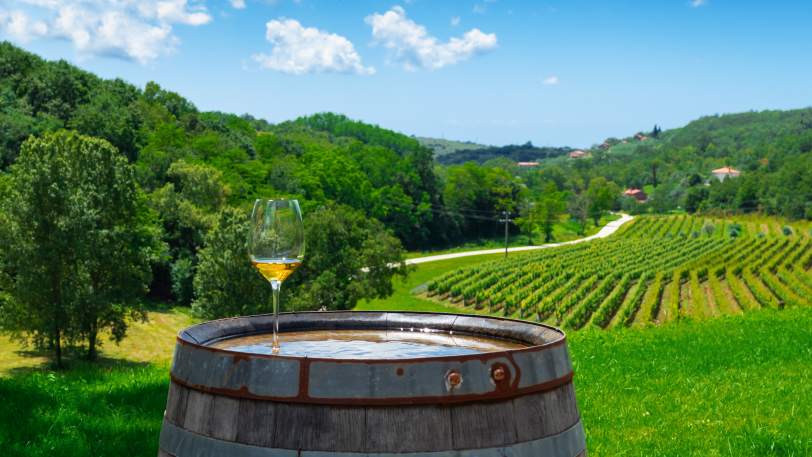 Walking the Highlights of Istria: Italy, Slovenia & Croatia — view 9