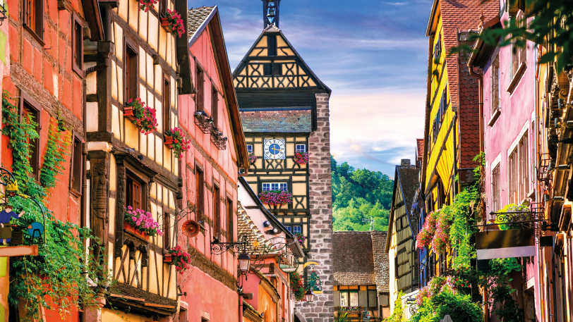 Cycling the Wine Route of Alsace — view 5
