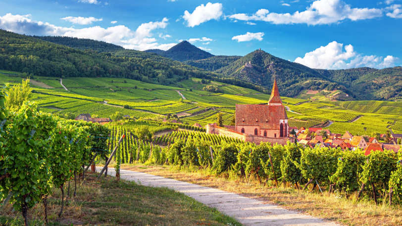Cycling the Wine Route of Alsace — view 1