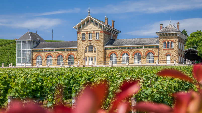 Cycling the Vineyards of Champagne — view 3