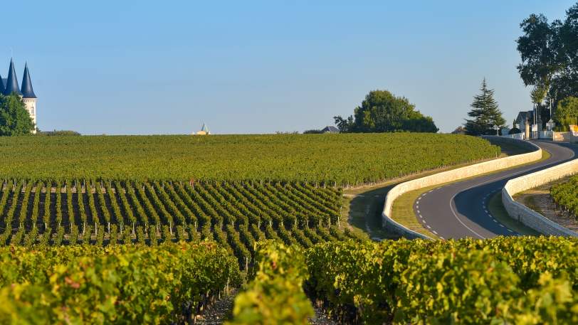 Cycling the French Atlantic Coast: La Rochelle to Bordeaux â view 7