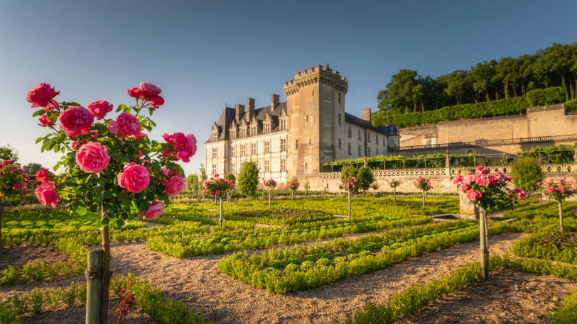 Cycling The UNESCO Loire Valley — view 10