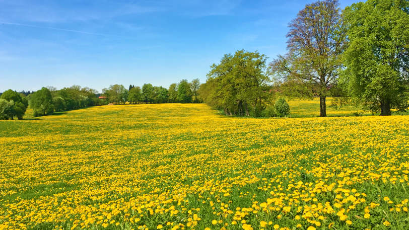 Cycling Bavaria’s Lake Chiemsee — view 8