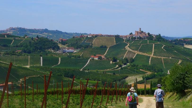 Gastronomic Barolo Walk — view 4