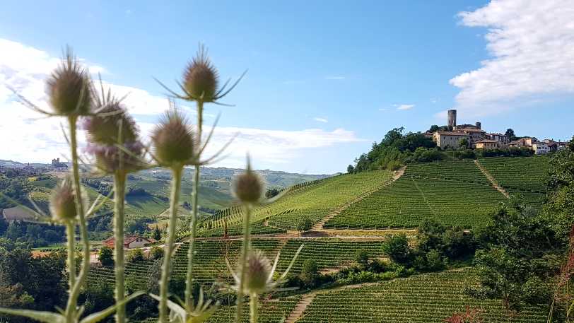 Gastronomic Barolo Walk — view 3