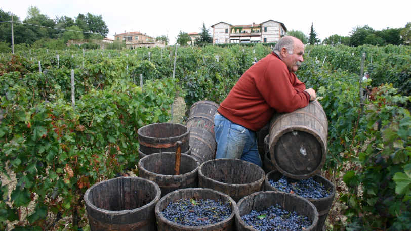 A Taste of Tuscany Walking — view 8