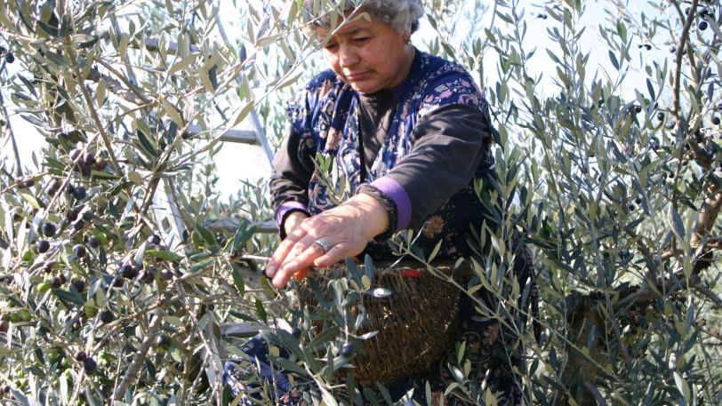 A Taste of Tuscany Walking — view 10