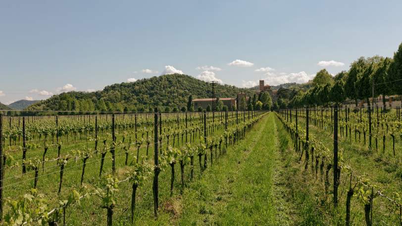 Walking in the Venetian Hills — view 1