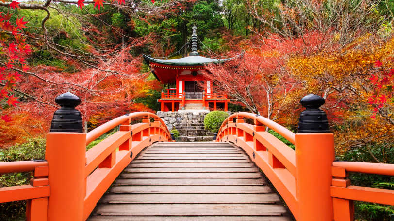 Walk the Kumano Kodo — view 2