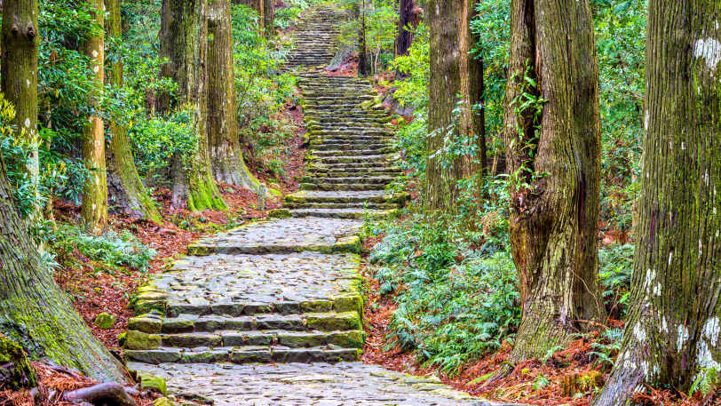 Walk the Kumano Kodo — view 3