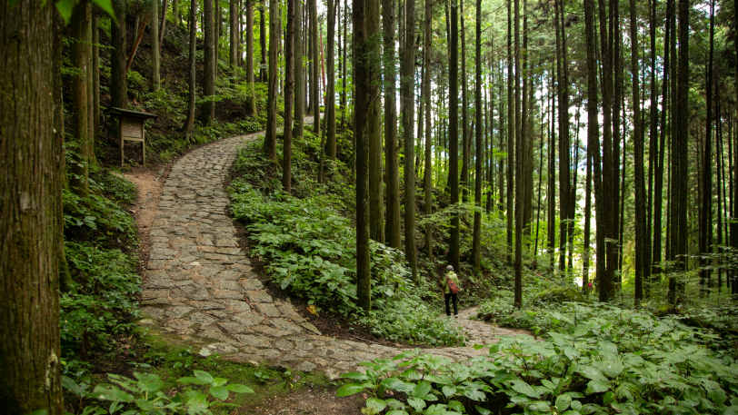 Walk the Nakasendo Trail — view 5