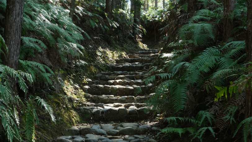 Walk the Kumano Kodo — view 8