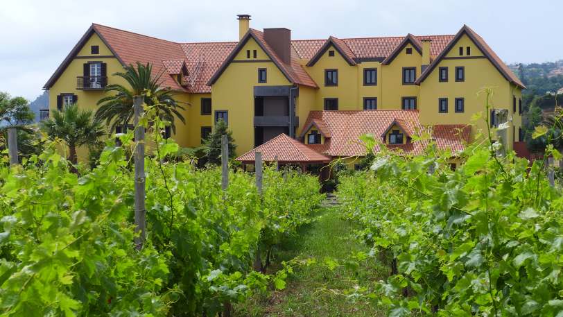 Marvels of Madeira Walk — view 6