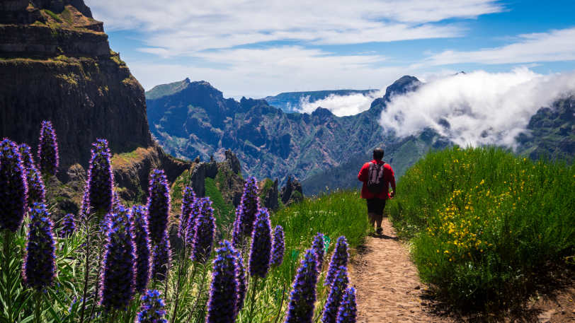 Walk the Garden Island of Madeira — view 1