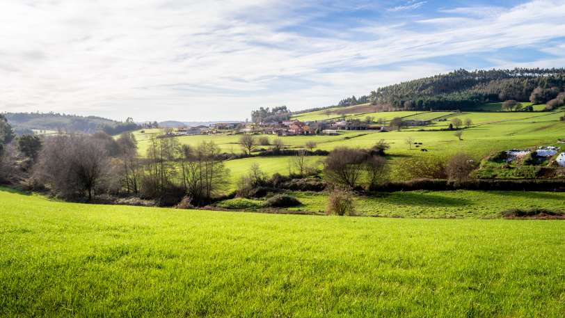Highlights of the Camino de Santiago Walk — view 4