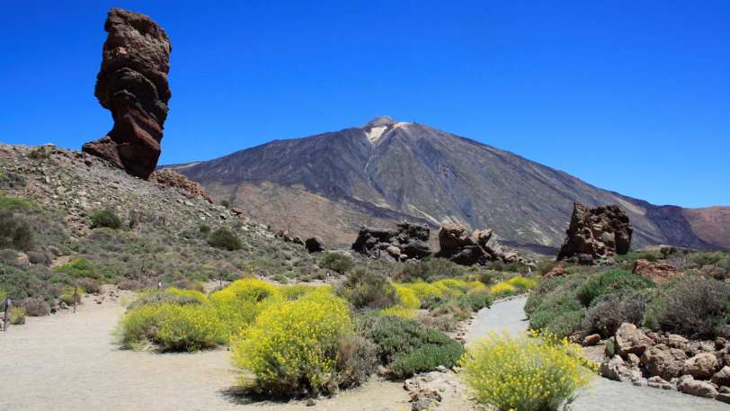 Contrasts of Tenerife Walk (with car hire) — view 1