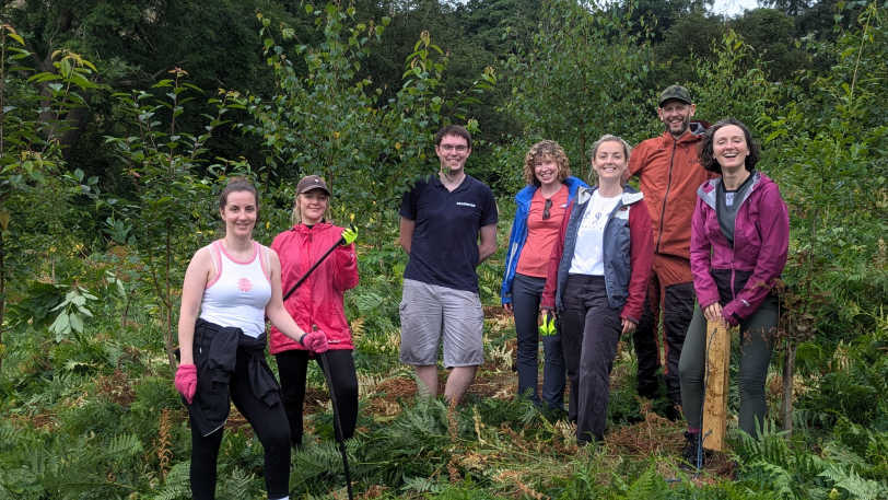 woodland maintenance at Tyâ€™n-y-Pistyll