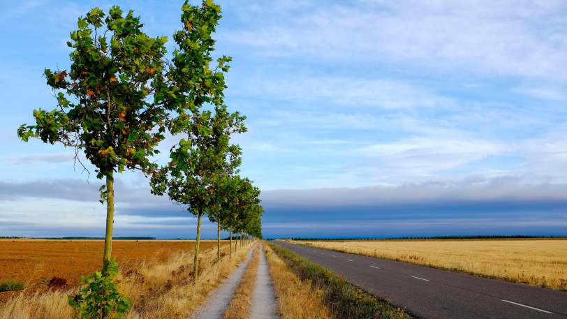 Camino Frances: Stage 3 – Burgos to Leon — view 10