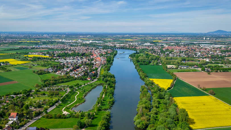 Cycling the Scenic Rhine: Strasbourg to Mainz — view 8