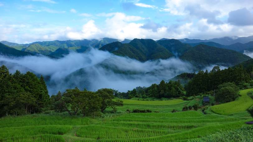 Pilgrimage: The Kumano Kodo Nakahechi Pilgrimage Path – Takijiri to Mount Nachi — view 4