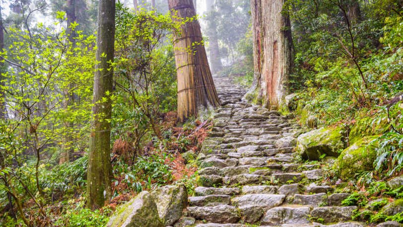 Pilgrimage: The Kumano Kodo Nakahechi Pilgrimage Path – Takijiri to Mount Nachi — view 9