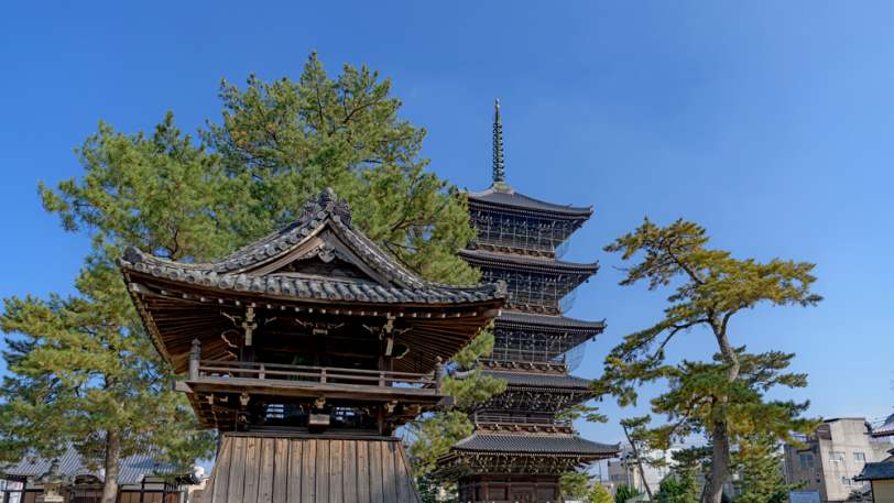 Pilgrimage: The Shikoku 88 Pilgrimage Path – Tokushima to Ehime — view 9