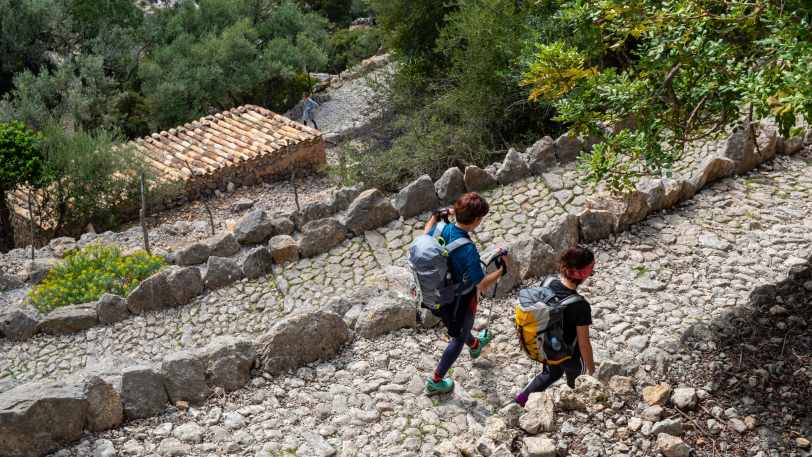 Walking Mallorca’s Mountains and Coast — view 7
