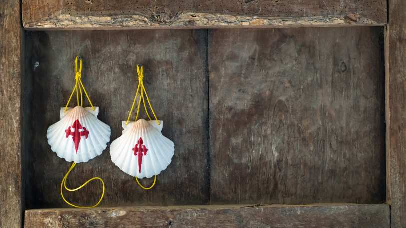 Camino Ingles: Ferrol to Santiago de Compostela — view 8