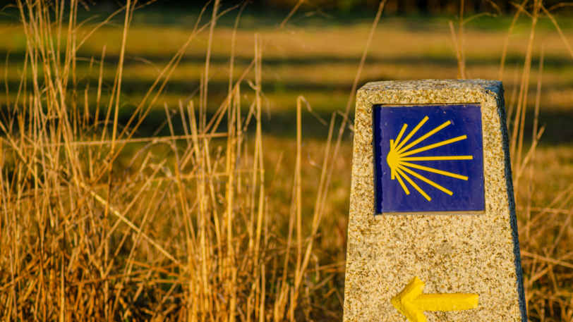 Camino Ingles: Ferrol to Santiago de Compostela — view 5