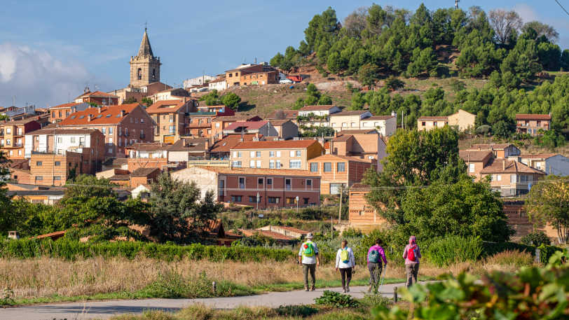 Camino Frances: Stage 2 – Logrono to Burgos — view 7