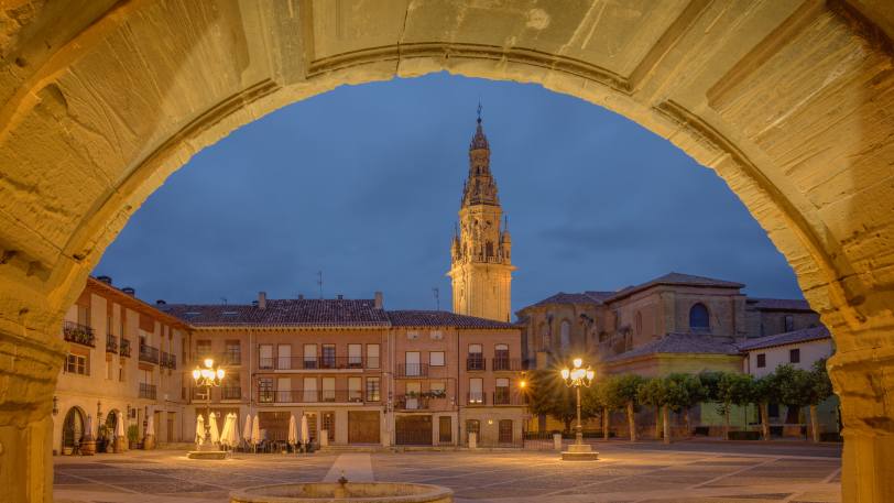 Camino Frances: Stage 2 – Logrono to Burgos — view 10