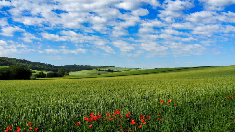 Camino Frances: Stage 2 – Logrono to Burgos — view 5