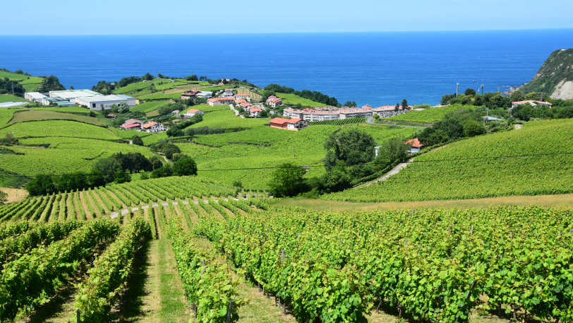 Camino Norte: Special – Hendaye to Bilbao — view 8