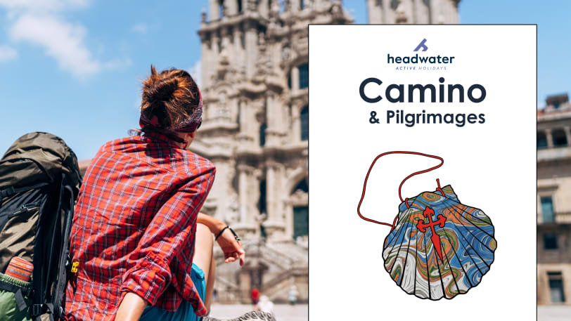 New Camino Brochure