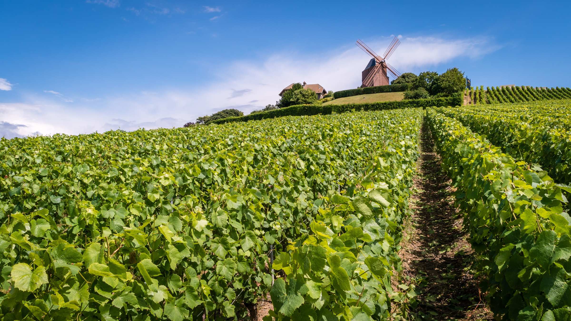 Loop to Marne Valley