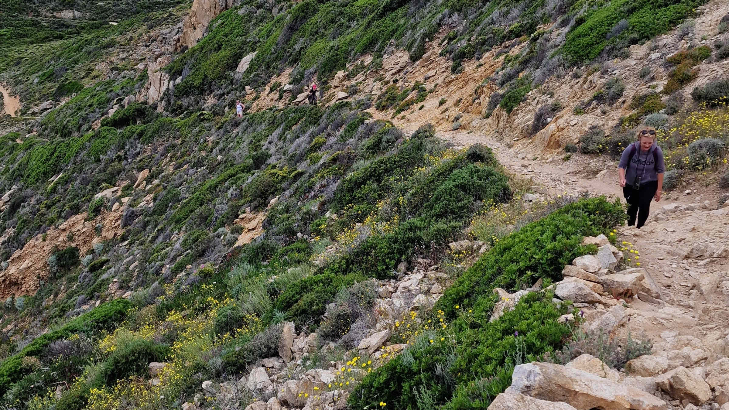 At Calvi