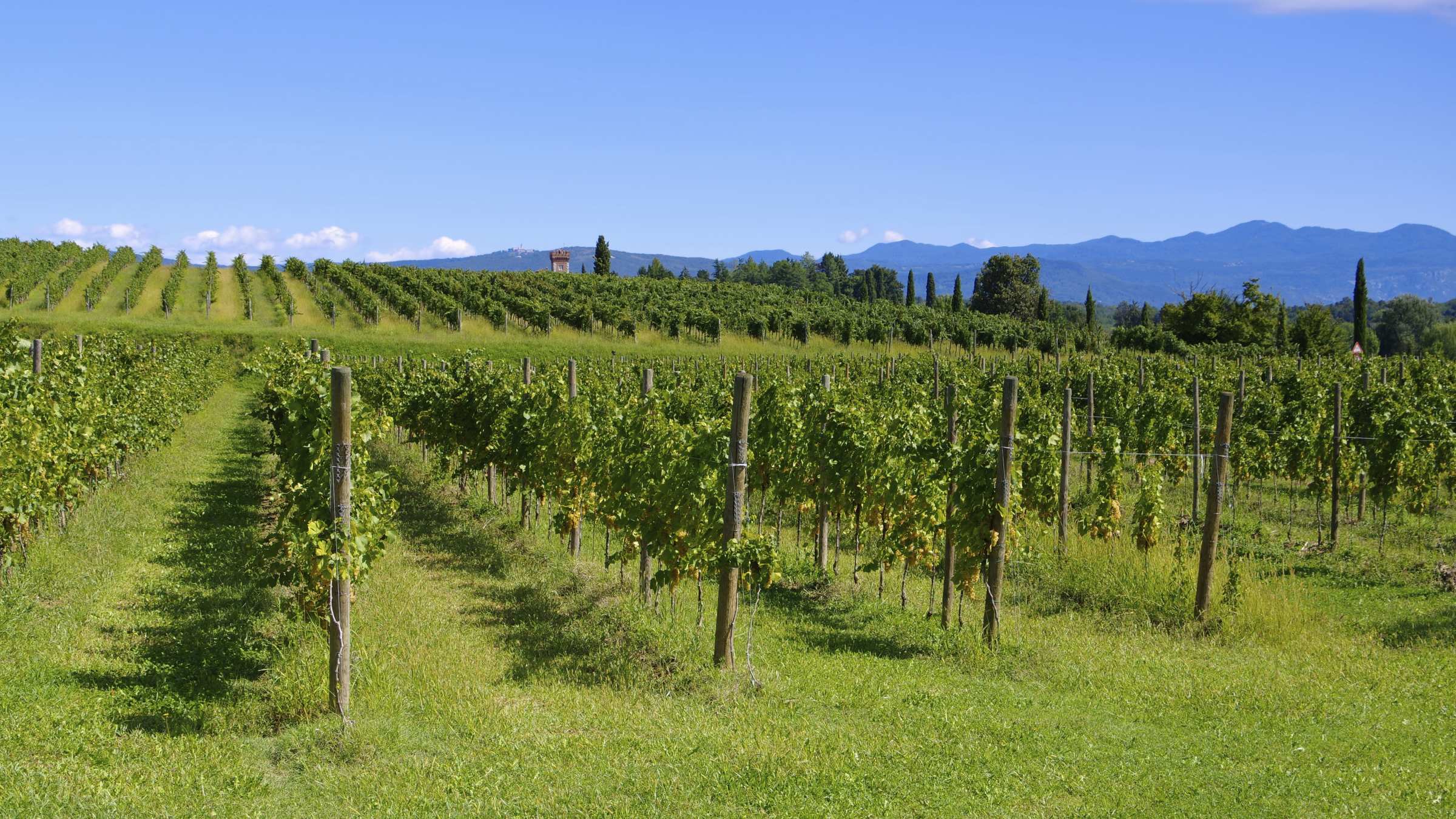 Vicenza and the Villa Rotonda