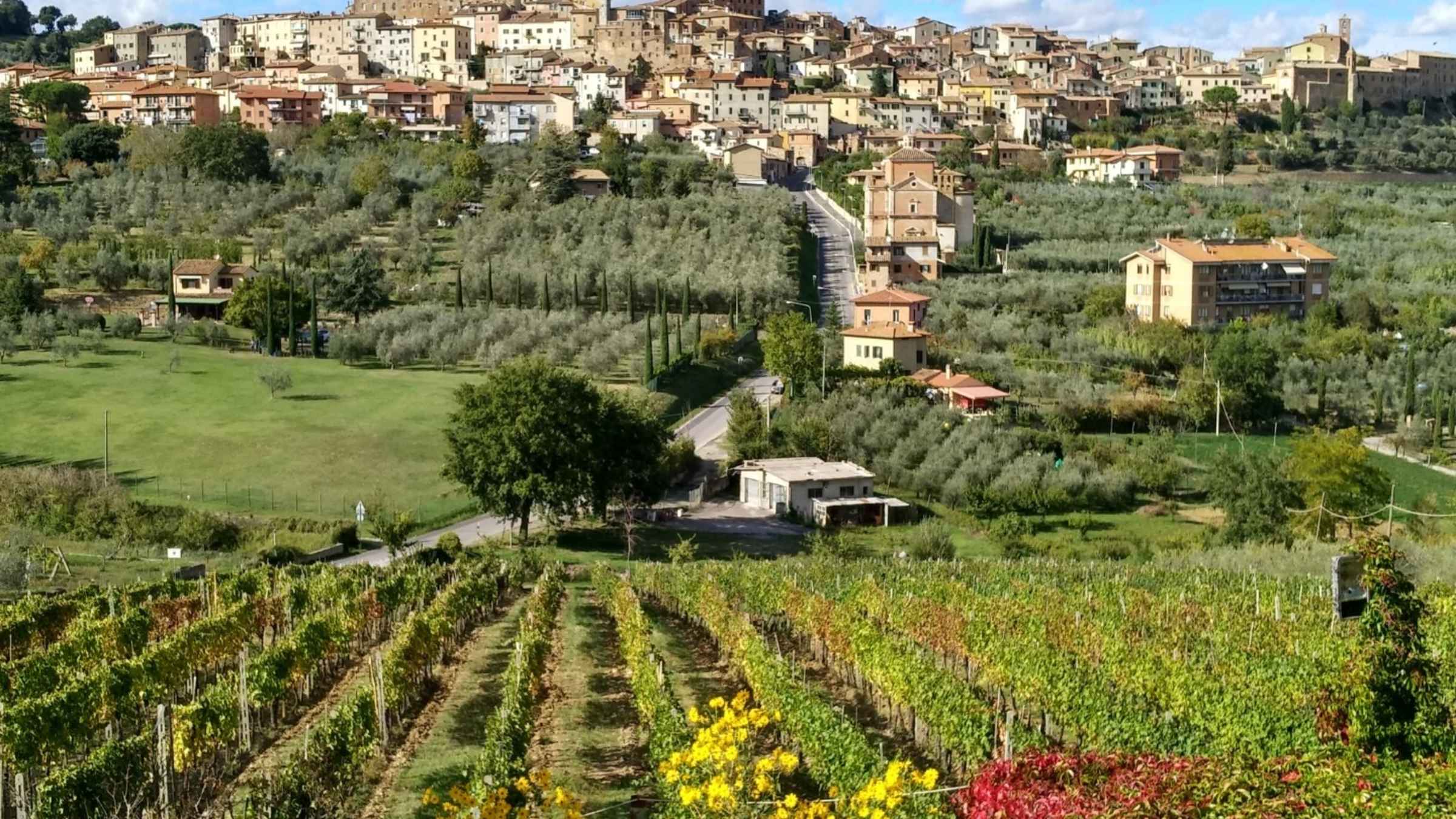 Montepulciano Circle