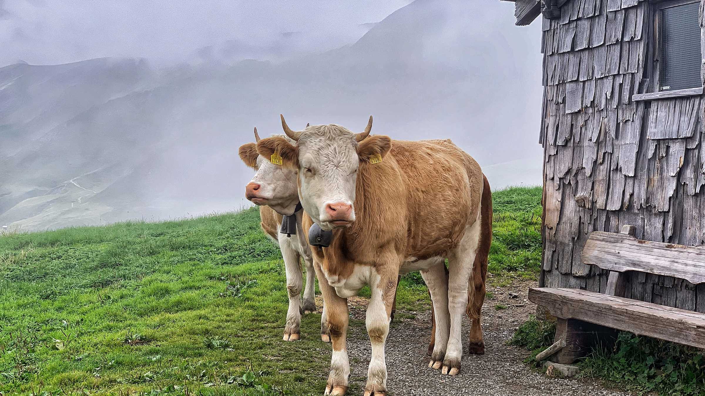Depart Mürren