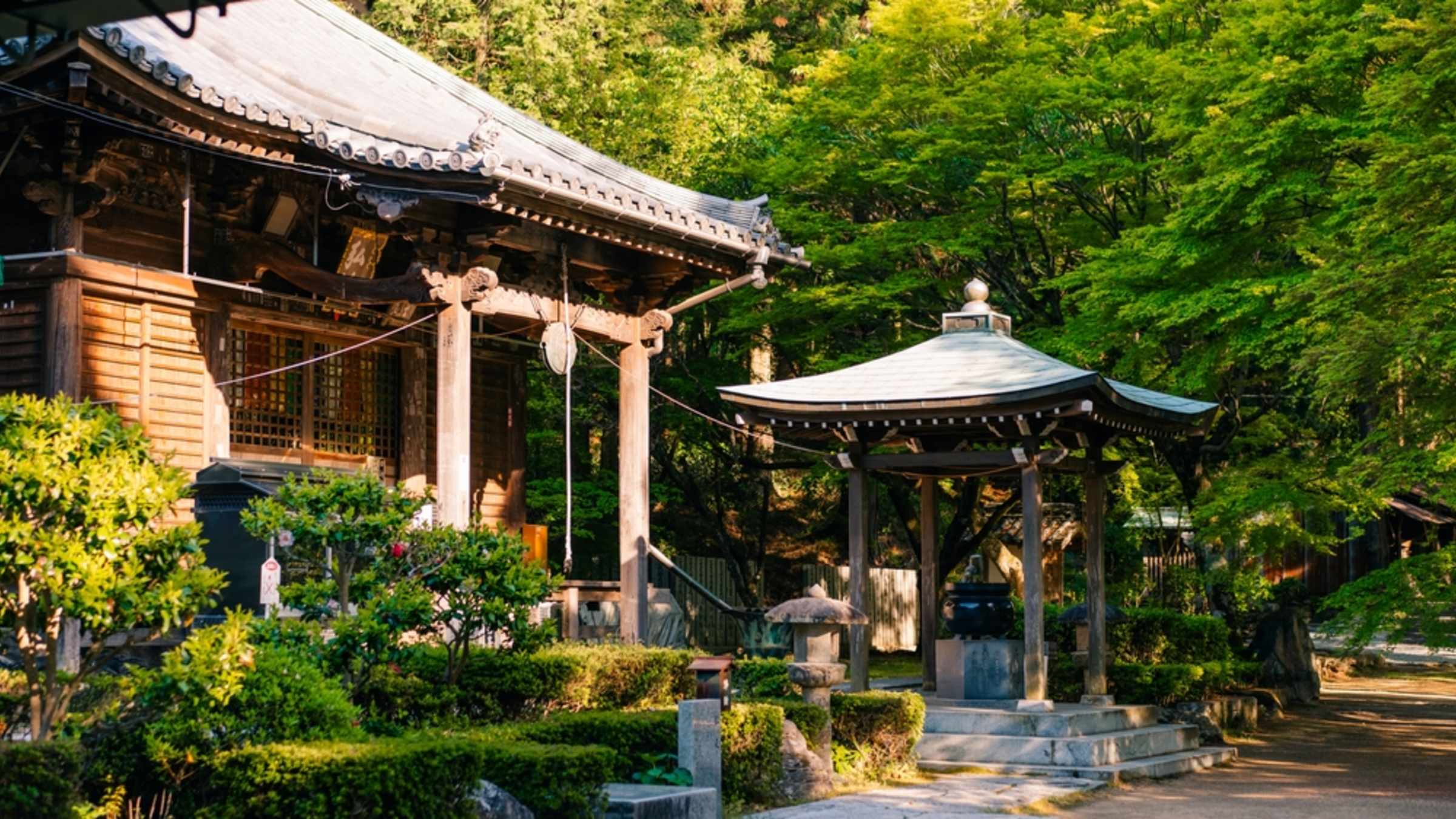 Hike in Ehime (Temples 57 to 58)