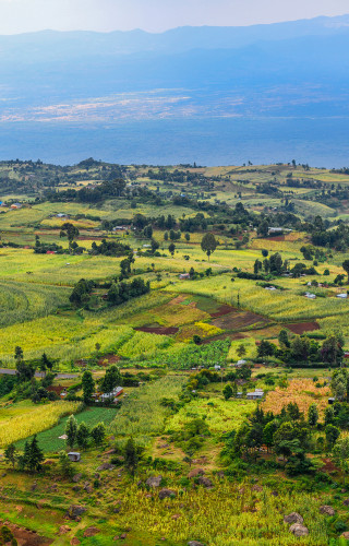 Best Time to Visit Kenya