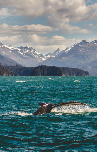 Alaska