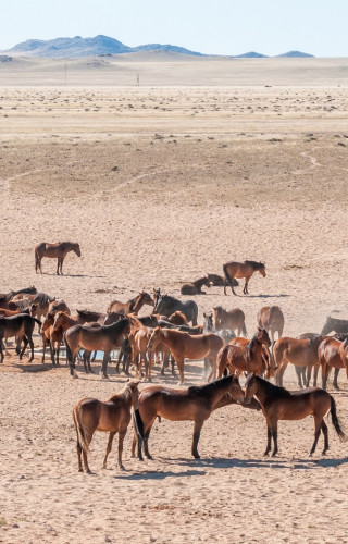 Namibia